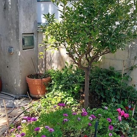 Lenia'S 1 Daire Artemida  Dış mekan fotoğraf
