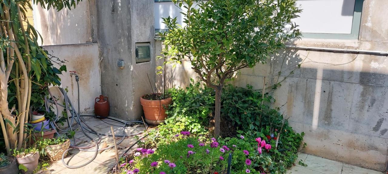 Lenia'S 1 Daire Artemida  Dış mekan fotoğraf