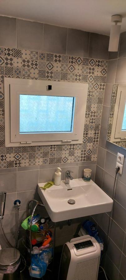 Lenia'S 1 Daire Artemida  Dış mekan fotoğraf